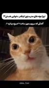 🤣🤣😐🗿‌‌‌‌‌‌‌‌‌‌‌‌‌‌‌‌‌‌‌‌‌‌‌‌