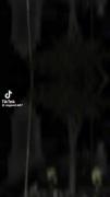 #میخوری حسرت هی میگی برگرد...🖤🚶🏼‍♀️