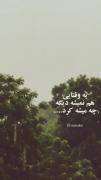 😞💔🖤🥀🍂 :/ .