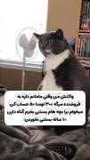 اون حجم از خیژارتمون اون لحظه. . .🤌🙁🤣