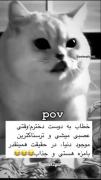 اینم آپدیت جدیدی دوست دختراشون خداراشکر من سینگلم🤣😂