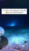 ماهی خنده دار در اعماق اقیانوس
