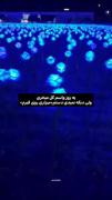 صحیح. ‌. ‌‌