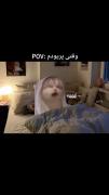 pms: ‌ ‌