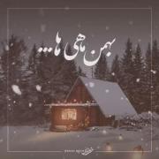 تولد بهمن ماهی ها.............