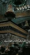 حال و هوای معنوی حرم مطهر امام رضا (ع) در مشهد