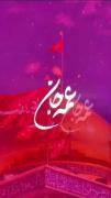 ولادت عمه سادات حضرت زینب سلام الله مبارک باد 🎉😍