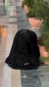 دلتنگی برای کربلا؛ آه حسرت زیارت امام حسین (ع)