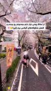 وای بچه هااااا واییییییی.......😭😭🌸🌸