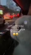 والا خب🥱🎀 .