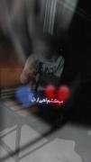 موسیقی غمگین و لحظات تنهایی با گربه در شب