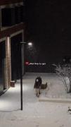 منو یه بوم نقاشی... ❄️🩵>>>>>>