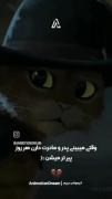 - میشه پیرنشین لطفاا!💔🙂
