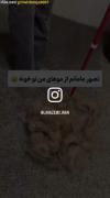 طنز ریزش مو: تصور بامزه مادران از موهای ما در خانه