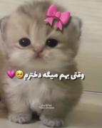 واکنش قلبممم‌‌‌‌‌‌‌‌‌‌‌‌‌‌‌‌‌‌‌