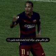 مثل عکس بودی، ‌