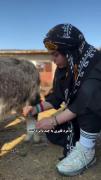 رِفیقـ‌دُنیادارمُکافاتهـ‌دیدَمـ‌کِـ‌‌میگَمـ...:)
