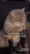 حیح 😚😌😂😂😂😂................