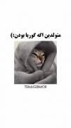 شما متولد کدوم ماهی:) برام تو کامنتا بنویس