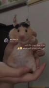 منو با عینک دودی خاک کنیدا😂😉