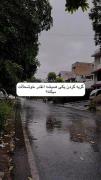 جالبه نه ؟! 🙂‌‌‌‌‌‌‌‌‌‌‌‌‌‌‌‌‌‌