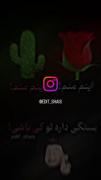 ،،،،،،،،،،،،،،،،،،،، بستگی داره کدومش باشی