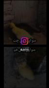 ،،،،،،،،،،،،،،،،،،،،،،،،،،،،،،،،،