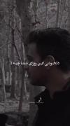 دلخوشی شما چیه هیچی ،،،،،،،،،،،،