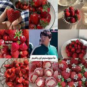 ولی نباید تهش اونجوری میشد:) ‌‌‌