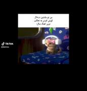 این‌آهنگ‌زیادی‌قفلیه🌚:)`‌‌‌‌‌‌‌‌