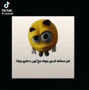 درسته‌خیلی‌چیزای‌ترش‌دوس‌ندارم،ولی‌این‌یکی>>🛐