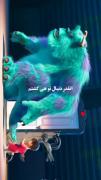 انقد دنبالت هی گشتم ـــــــــــ