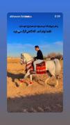سوارکاری زیبا با اسب سفید در طبیعت، همراه با موزیک عاشقانه