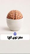 مطالب علمی نیاز روزمره برای اطلاعات عمومی لازمه