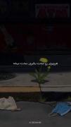 قانون دنیا: زندگی رو سخت نگیر تا ساده بگذره