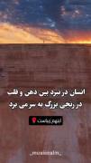 غوطه ور شدن در جدال و عقل وقلب