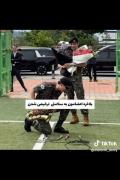 برگشتننتننننننن:))))))✨✨✨💗💗. 