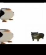 🦦 . 