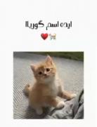 ایده اسم گورباح ..........🎀 🐈