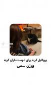 پروفایل های سمی گورباح...🐈‍⬛🐈