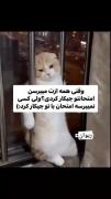 ولی هیچکس نپرسید امتحان با تو چیکار کرد..... 