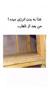 وقتی راکون هم بعد از غذا نیاز به استراحت داره: لحظات طنز و بامزه یک راکون
