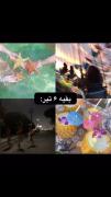 کسایی که نمیدونن اسکویید گیم سه ۶ تیر پخش میشه