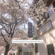 ‌ ‌