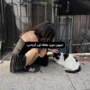 ‌ ‌