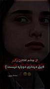 از چشم افتادن را... لایق دیداری دوباره نیست...