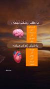 کسانی که با قلبشون زندگی میکنند... کسانی که با عقلشون زندگی میکنند😎🥺