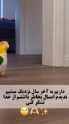 چایی خدا چه نازهههه...... 😂😅