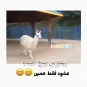 اعتماد به نفسی که این داره من تو کل عمرم نداشتم😂💔