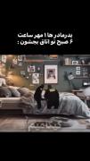 ولی این خیلی حقه😂 ‌